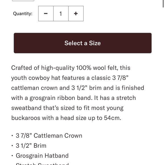 Youth Stetson Cream Cowboy Hat - Picture 5 of 5